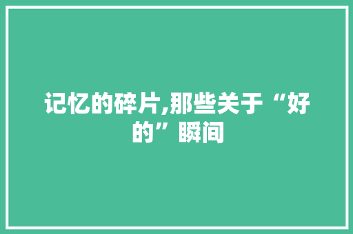 记忆的碎片,那些关于“好的”瞬间