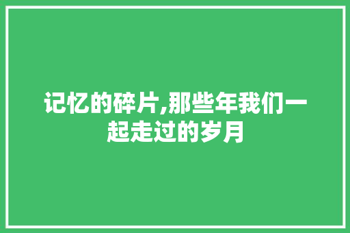 记忆的碎片,那些年我们一起走过的岁月