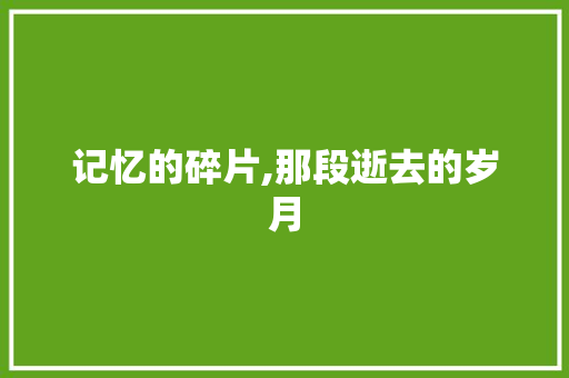 记忆的碎片,那段逝去的岁月