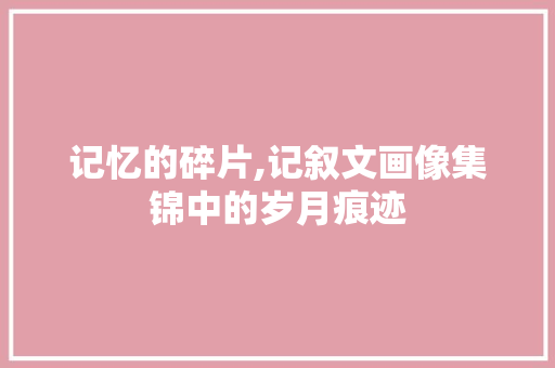 记忆的碎片,记叙文画像集锦中的岁月痕迹