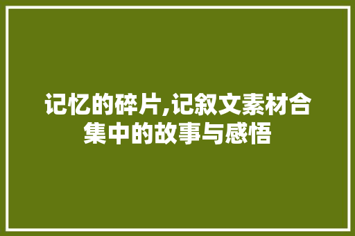 记忆的碎片,记叙文素材合集中的故事与感悟