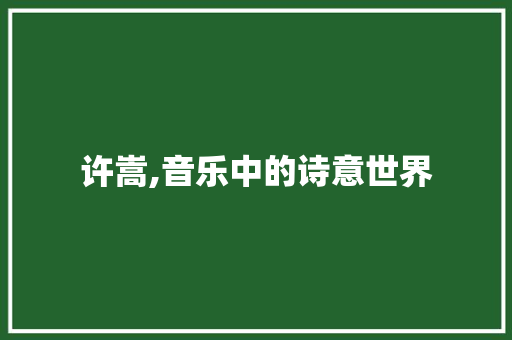 许嵩,音乐中的诗意世界