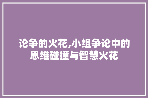 论争的火花,小组争论中的思维碰撞与智慧火花