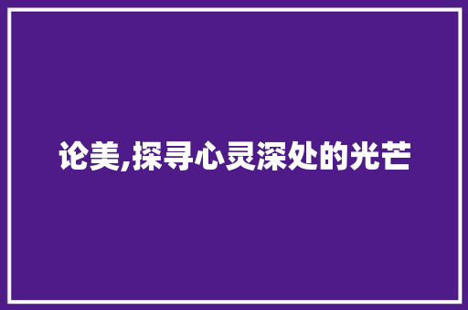 论美,探寻心灵深处的光芒