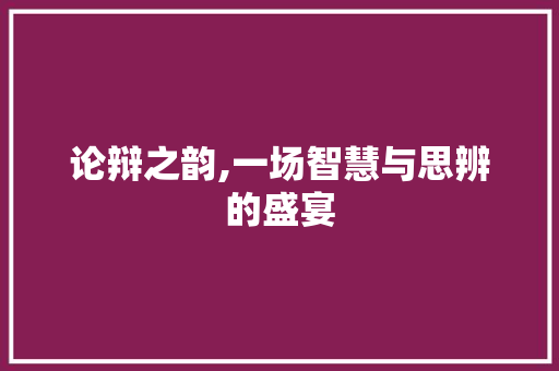 论辩之韵,一场智慧与思辨的盛宴