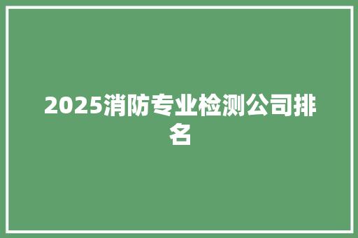 2025消防专业检测公司排名