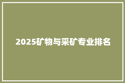 2025矿物与采矿专业排名 未命名