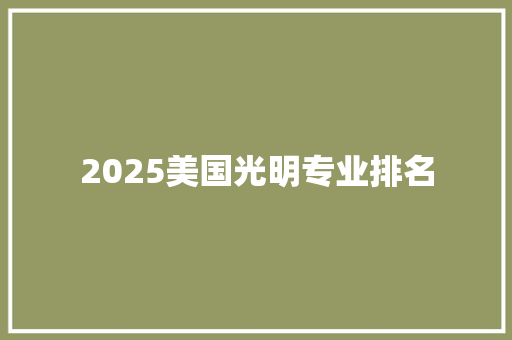 2025美国光明专业排名