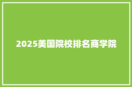 2025美国院校排名商学院 未命名