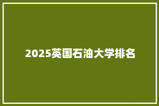 2025英国石油大学排名