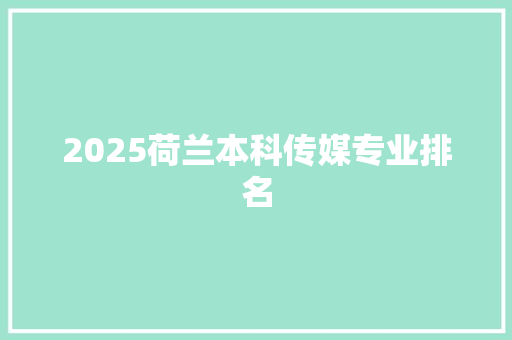 2025荷兰本科传媒专业排名