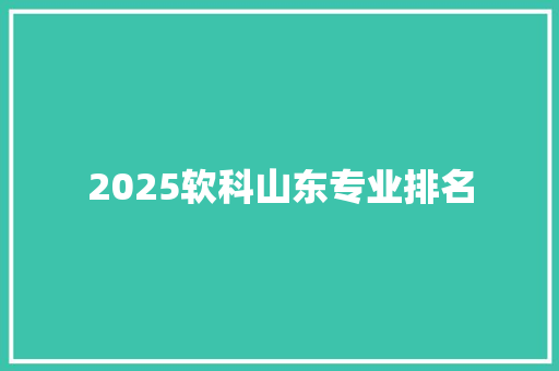 2025软科山东专业排名