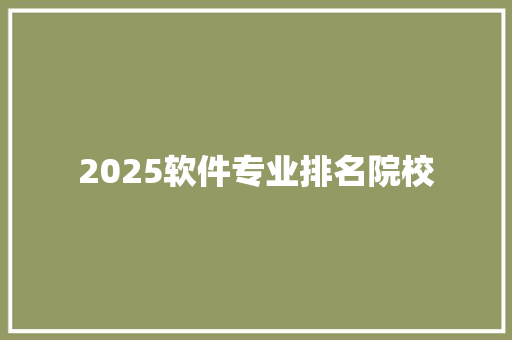 2025软件专业排名院校 未命名