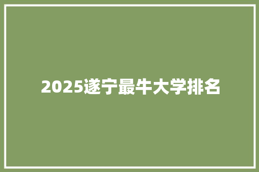 2025遂宁最牛大学排名 未命名