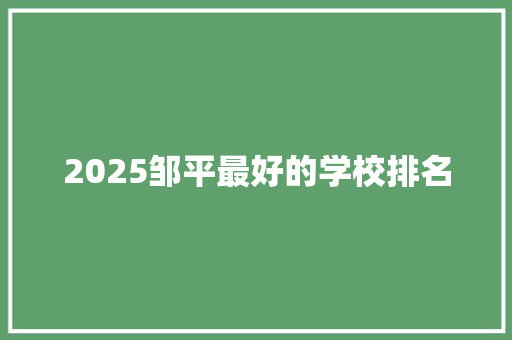 2025邹平最好的学校排名 未命名