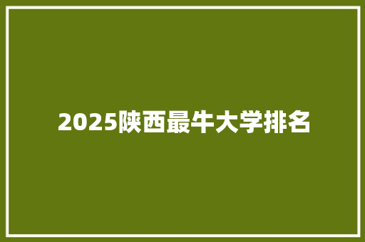 2025陕西最牛大学排名 未命名