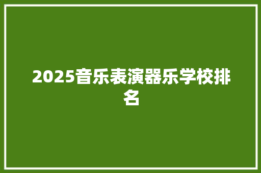 2025音乐表演器乐学校排名