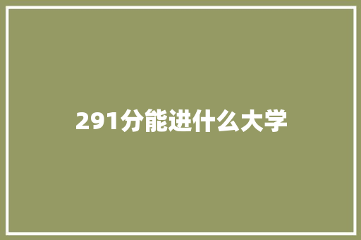 291分能进什么大学 未命名