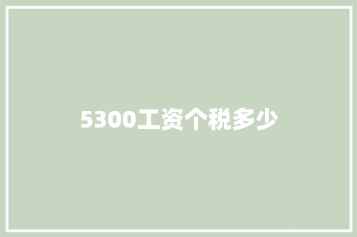 5300工资个税多少