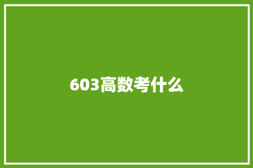 603高数考什么 未命名