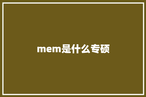 mem是什么专硕