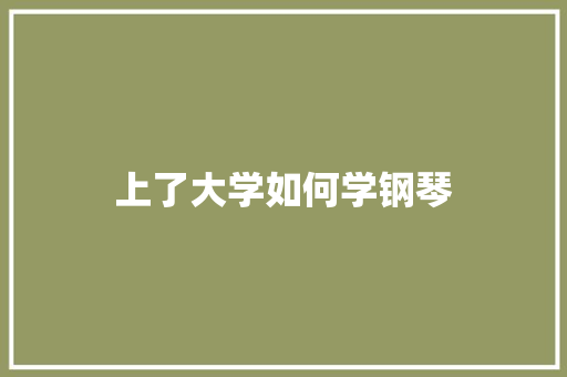 上了大学如何学钢琴 未命名