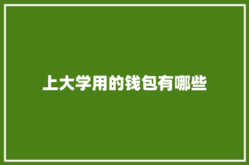 上大学用的钱包有哪些 未命名