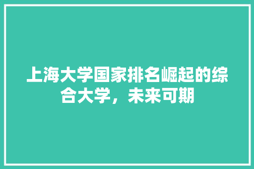 上海大学国家排名崛起的综合大学，未来可期 未命名