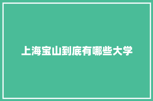 上海宝山到底有哪些大学