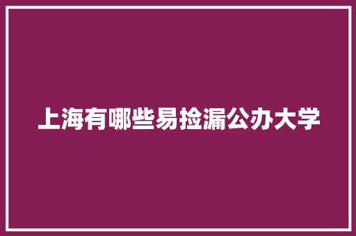 上海有哪些易捡漏公办大学 未命名