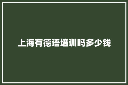 上海有德语培训吗多少钱 未命名