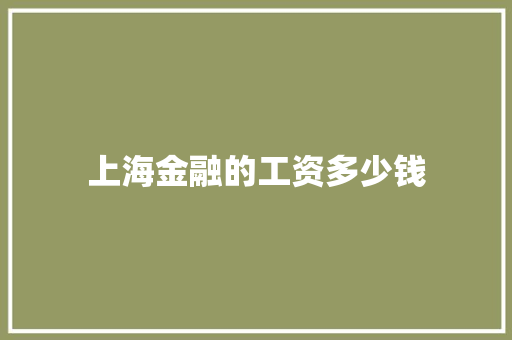 上海金融的工资多少钱