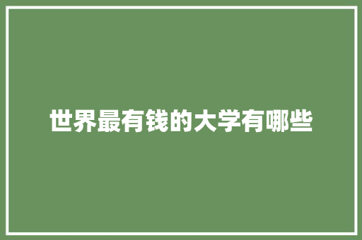 世界最有钱的大学有哪些