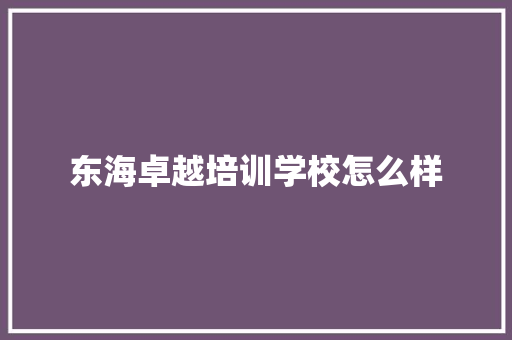 东海卓越培训学校怎么样