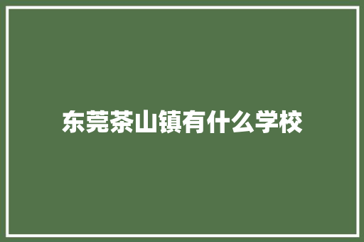 东莞茶山镇有什么学校