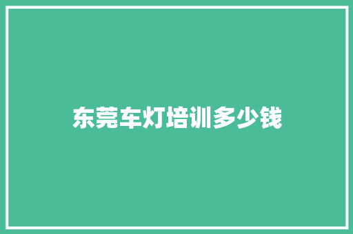 东莞车灯培训多少钱 未命名