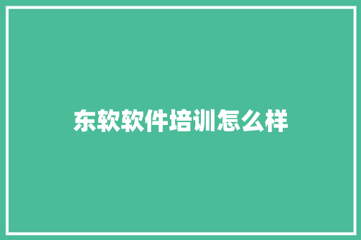 东软软件培训怎么样