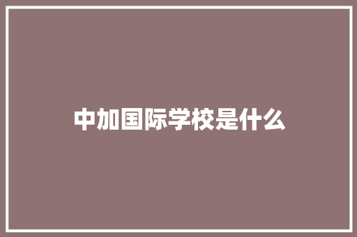 中加国际学校是什么