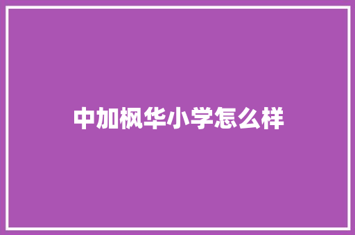 中加枫华小学怎么样 未命名