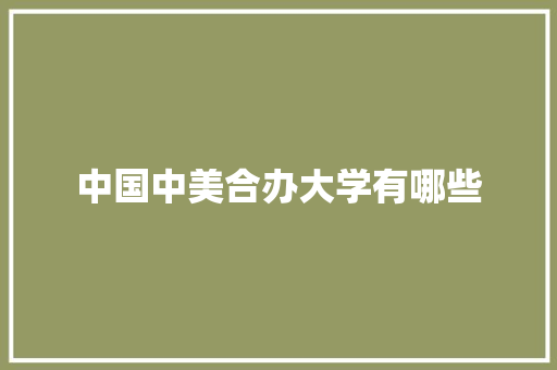 中国中美合办大学有哪些 未命名