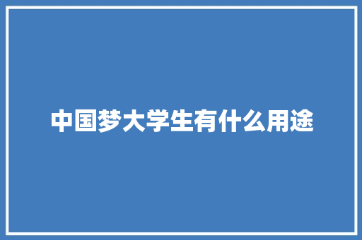 中国梦大学生有什么用途