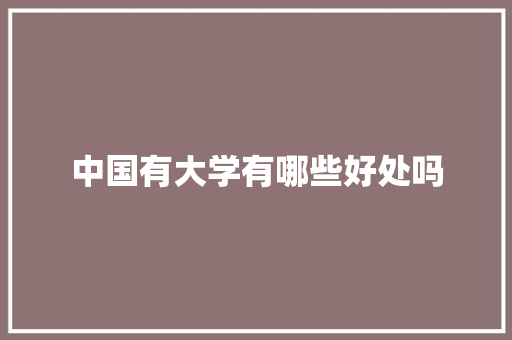 中国有大学有哪些好处吗