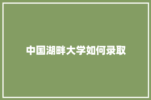 中国湖畔大学如何录取