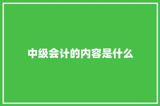 中级会计的内容是什么 未命名