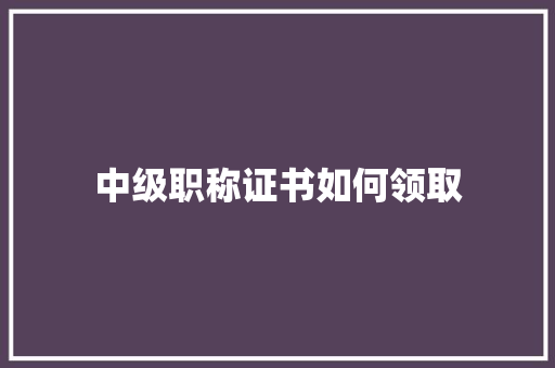 中级职称证书如何领取 未命名