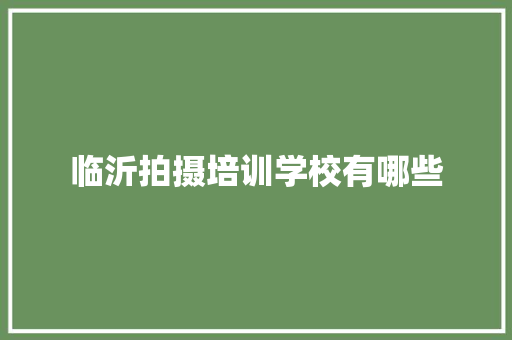 临沂拍摄培训学校有哪些 未命名