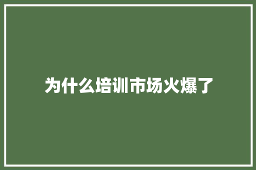 为什么培训市场火爆了