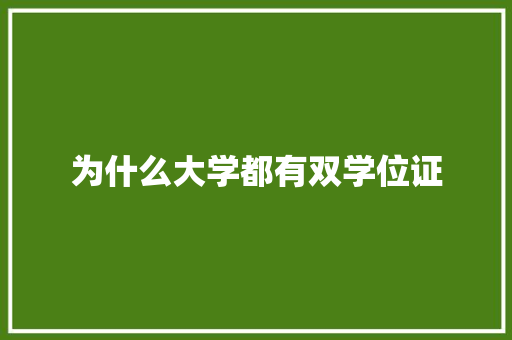 为什么大学都有双学位证