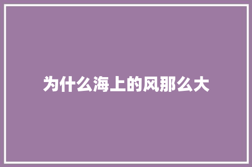 为什么海上的风那么大