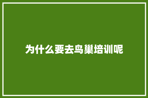 为什么要去鸟巢培训呢